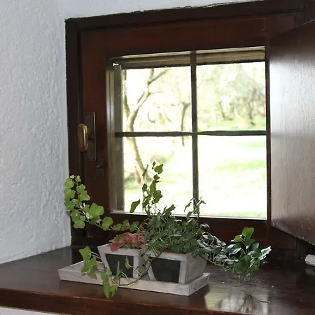 Dolcevita Ferienhaus